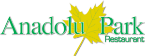 logo (2)
